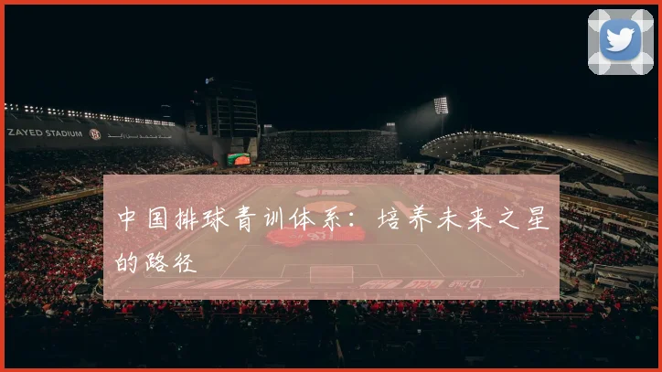中国排球青训体系:培养未来之星的路径