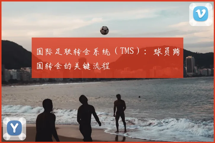 国际足联转会系统（TMS）：球员跨国转会的关键流程