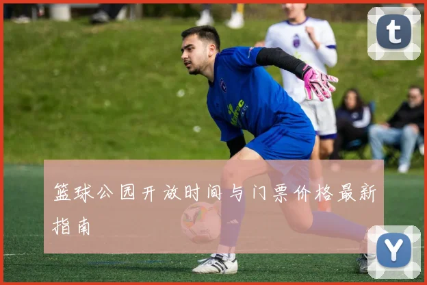篮球公园开放时间与门票价格最新指南