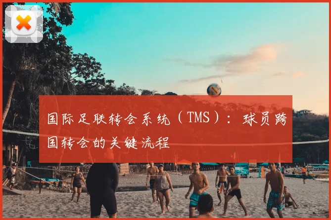 国际足联转会系统（TMS）：球员跨国转会的关键流程