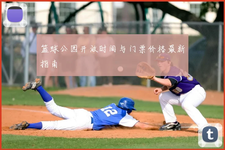 篮球公园开放时间与门票价格最新指南